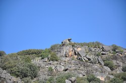 Representación en el Castro de Vale de Águia con vistas al Duero