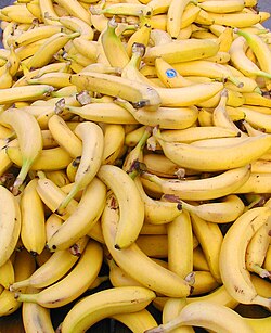 Plátano de Canarias
