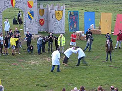 Una competición de shin-kicking