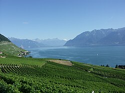 Lago Ginebra y los Alpes suizos desde Lavaux.