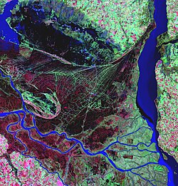 Imagen en falso color del Delta del Paraná mostrando múltiples efluentes.