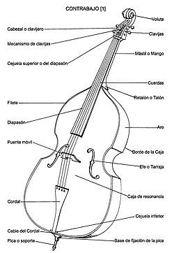 Partes del contrabajo