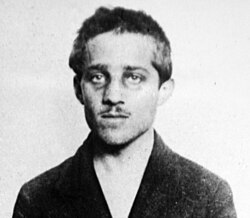Retrato de Gavrilo Princip