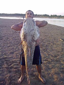 Actividad de pesca en las proximidades del río
