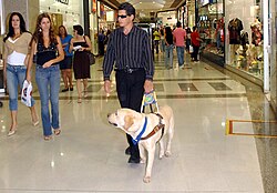 Persona ciega acompañada de su perro guía