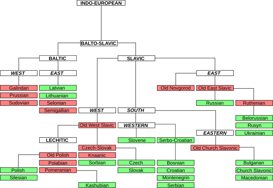 Árbol de clasificación filogenética de las lenguas eslavas