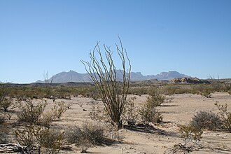 Paisaje del Desierto de Chihuahua