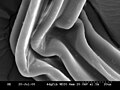 Fibra de poliéster observada mediante microscopía electrónica de barrido