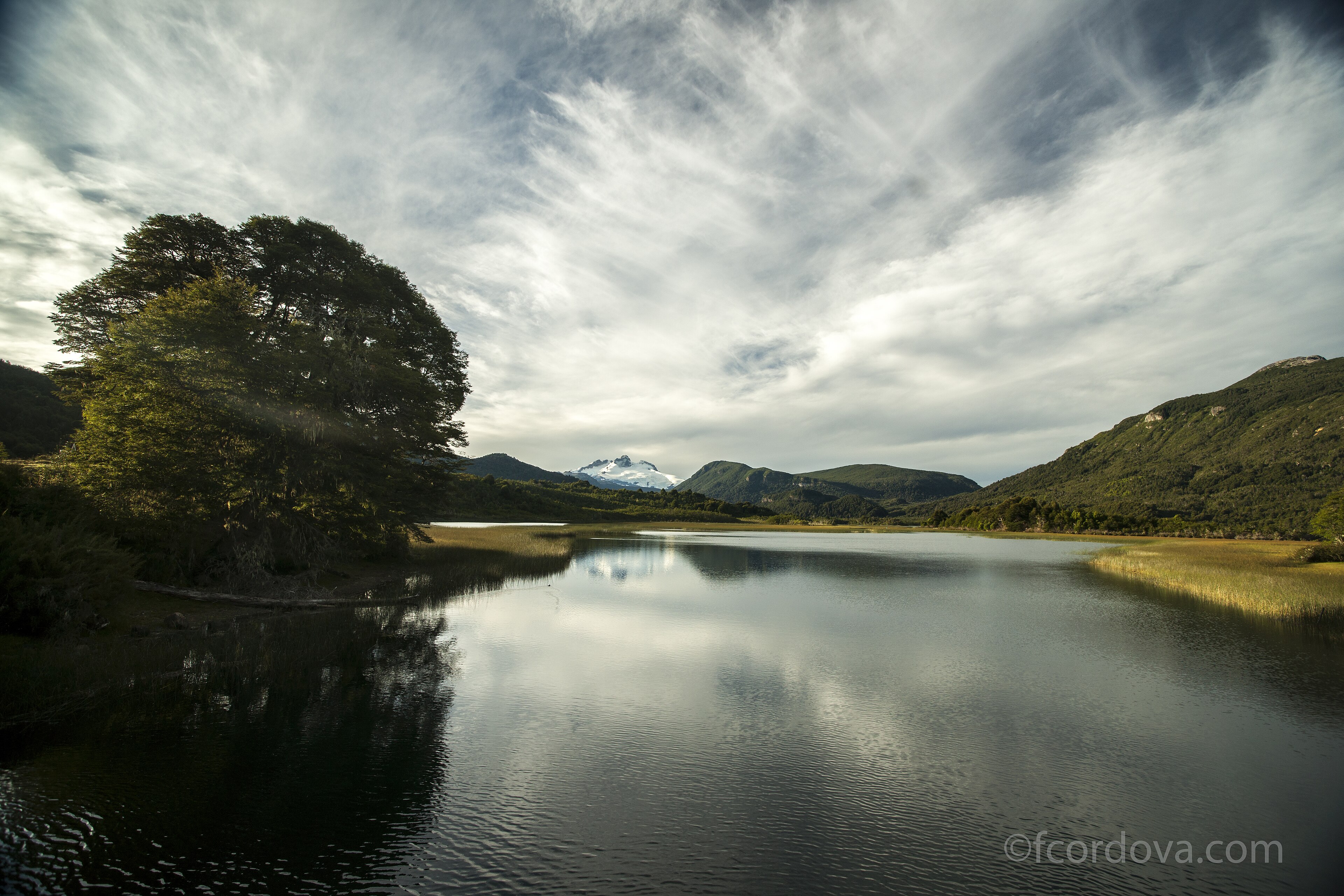Vista panorámica del Lago Hess rodeado de vegetación y bosque andino patagónico.