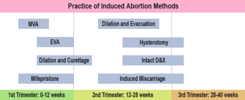 Frecuencia de las diferentes técnicas de aborto inducido según la edad gestacional