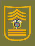 Insignia de Comisario de la Policía Nacional de Colombia