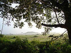 Paisaje verde y tropical de Goa