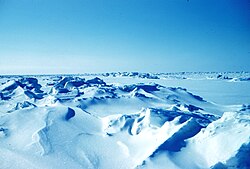 Paisaje glaciar que ilustra un enfriamiento global.