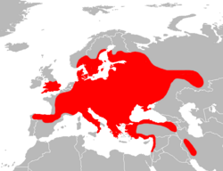 Mapa esquemático o gráfico complementario de la especie