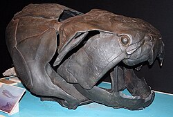Ilustración de Dunkleosteus, un gran placodermo del Devónico.