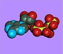 Modelo tridimensional de la molécula de ATP.