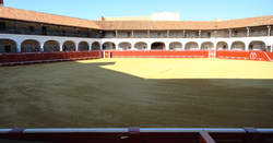 Vista aérea de la plaza de toros hexagonal de Almadén