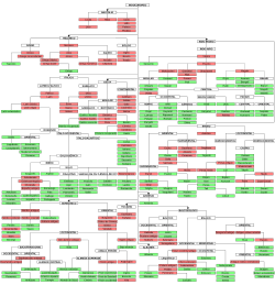 Árbol filogenético tradicional de las lenguas indoeuropeas mostrando sus múltiples subdivisiones.