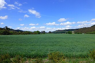 Paisaje rural con cultivos agrícolas en Galvarino