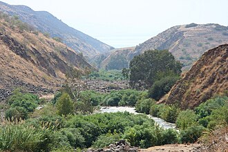 Curso alto del río Jordán con vegetación y cauce fluvial