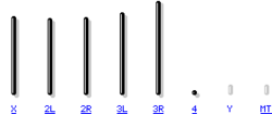 Cromosomas de Drosophila melanogaster