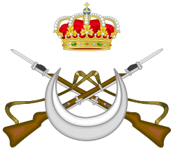 Insignia y representación de los Regulares del Ejército de Tierra español