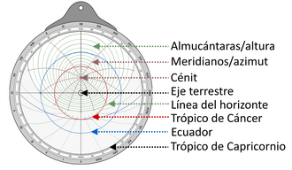 Partes del tímpano