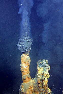 Procariontes ancestrales en fumarolas negras