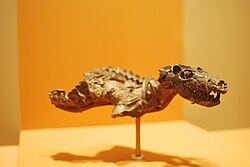 Esqueleto parcial de Thrinaxodon