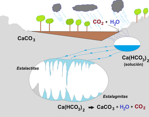 Esquema de formación de grutas y cuevas en regiones calcáreas