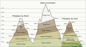 Pisos de vegetación de los Alpes