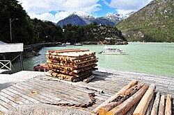Entorno boscoso patagónico donde abunda el ciprés