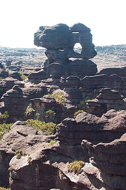 Cima del monte Roraima en la Guayana venezolana