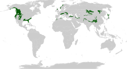 Mapa de distribución global del bioma