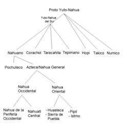 Esquema del árbol genealógico de la familia yutonahua