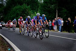 Ciclistas en una etapa del Tour de Francia