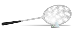 Raqueta y volante de bádminton