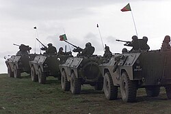 Personal militar desplegado en misiones de paz internacionales.