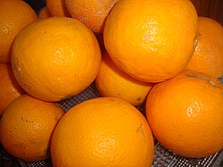 Cultivo de naranjas en la comarca de la Plana Alta en Castellón, España
