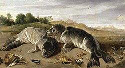 Dos focas jóvenes en tierra de Paul de Vos, 1650