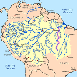 Ilustración gráfica descriptiva del Río Xingú