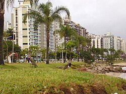 Costanera del microcentro de Florianópolis