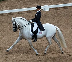 Jinete montando a un ejemplar en una competición de la FEI