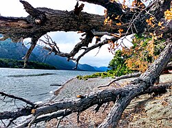 Confluencia del lago Futalaufquen con el río Arrayanes