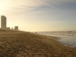 Playa de Zandvoort con visitantes