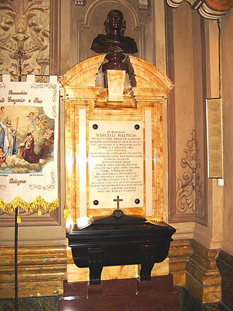Tumba de Marcello Malpighi en Bolonia