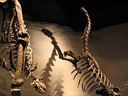 Sala de la era Mesozoica con esqueletos de dinosaurios