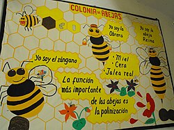 Cartel informativo sobre educación ambiental
