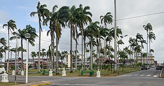 Paisaje característico de la vegetación tropical en Cayena