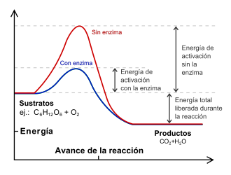 Gráfica de energías de una reacción química